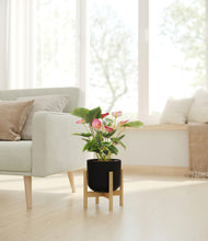 Load image into Gallery viewer, -