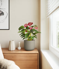 Load image into Gallery viewer, Sage Green