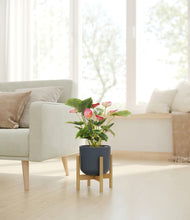 Load image into Gallery viewer, -