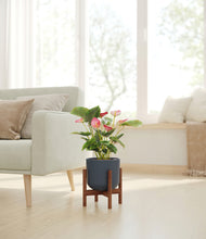 Load image into Gallery viewer, -