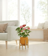 Load image into Gallery viewer, Sunset Orange stand:bamboo