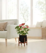 Load image into Gallery viewer, Stone Black stand:walnut