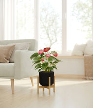 Load image into Gallery viewer, Stone Black stand:bamboo