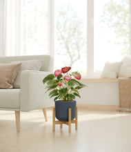 Load image into Gallery viewer, Iron Gray stand:bamboo