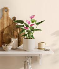 Load image into Gallery viewer, Natural Bamboo