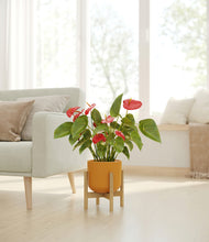 Load image into Gallery viewer, Sunset Orange stand:bamboo