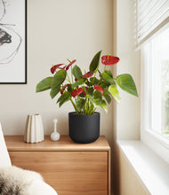 Load image into Gallery viewer, Stone Black