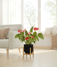 Load image into Gallery viewer, Stone Black stand:bamboo