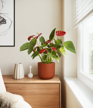 Load image into Gallery viewer, Earth Red