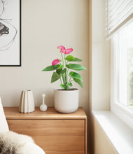 Load image into Gallery viewer, Natural Bamboo