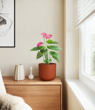 Load image into Gallery viewer, Earth Red