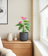 Load image into Gallery viewer, Iron Gray