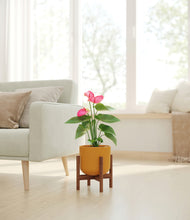 Load image into Gallery viewer, Sunset Orange stand:walnut