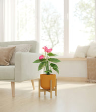 Load image into Gallery viewer, Sunset Orange stand:bamboo