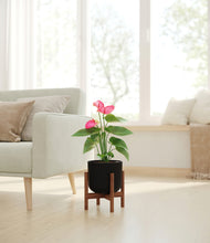 Load image into Gallery viewer, Stone Black stand:walnut