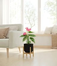 Load image into Gallery viewer, Stone Black stand:bamboo