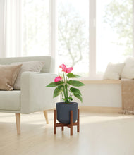 Load image into Gallery viewer, Iron Gray stand:walnut