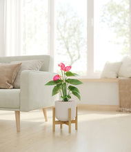 Load image into Gallery viewer, Natural Bamboo stand:bamboo