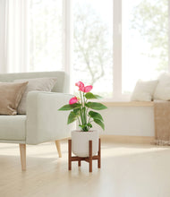 Load image into Gallery viewer, Natural Bamboo stand:walnut