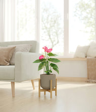 Load image into Gallery viewer, Sage Green stand:bamboo