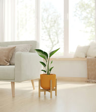 Load image into Gallery viewer, Sunset Orange stand:bamboo