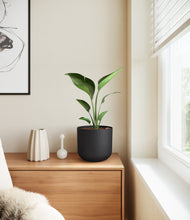 Load image into Gallery viewer, Stone Black