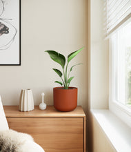 Load image into Gallery viewer, Earth Red