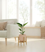 Load image into Gallery viewer, Sandy Pink stand:bamboo