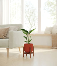 Load image into Gallery viewer, Earth Red stand:walnut