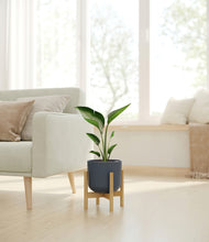 Load image into Gallery viewer, Iron Gray stand:bamboo