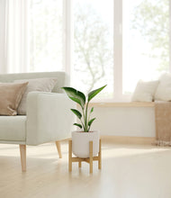 Load image into Gallery viewer, Natural Bamboo stand:bamboo