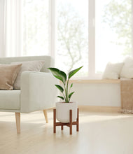 Load image into Gallery viewer, Natural Bamboo stand:walnut