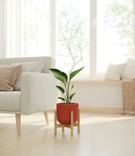 Load image into Gallery viewer, Earth Red stand:bamboo