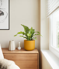 Load image into Gallery viewer, Sunset Orange