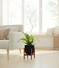 Load image into Gallery viewer, Stone Black stand:walnut