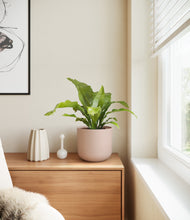 Load image into Gallery viewer, Sandy Pink