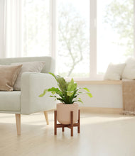 Load image into Gallery viewer, Sandy Pink stand:walnut