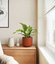 Load image into Gallery viewer, Earth Red