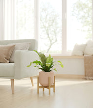 Load image into Gallery viewer, Sandy Pink stand:bamboo