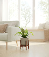 Load image into Gallery viewer, Sage Green stand:walnut