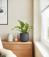 Load image into Gallery viewer, Iron Gray