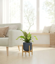 Load image into Gallery viewer, Iron Gray stand:bamboo