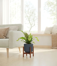 Load image into Gallery viewer, Iron Gray stand:walnut