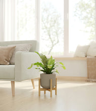 Load image into Gallery viewer, Sage Green stand:bamboo