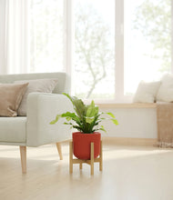 Load image into Gallery viewer, Earth Red stand:bamboo