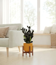 Load image into Gallery viewer, Sunset Orange stand:walnut