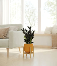 Load image into Gallery viewer, Sunset Orange stand:bamboo