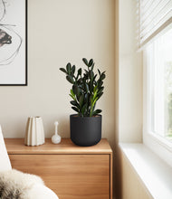 Load image into Gallery viewer, Stone Black