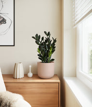 Load image into Gallery viewer, Sandy Pink