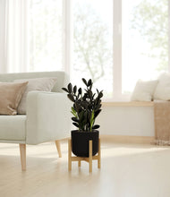 Load image into Gallery viewer, Stone Black stand:bamboo